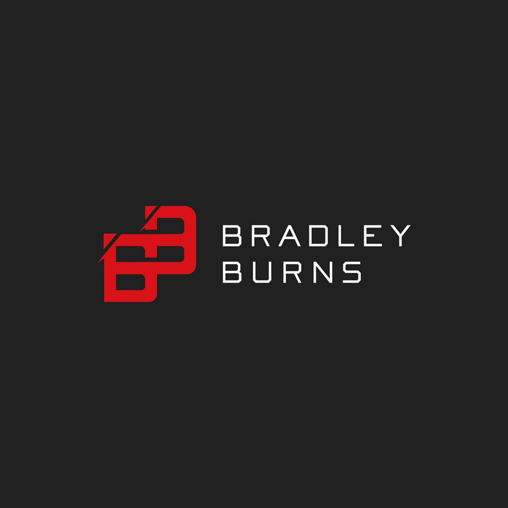 Driver logo and identity system for touring car ace Bradley Burns Racing.